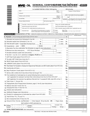 Free Nyc 3L Form in PDF