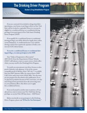Free Nys Dmv 449 Form in PDF